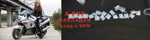 ГАЛЛЮЦИНОГЕННЫЕ ГРИБЫ Наволоки